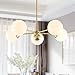Light Society Grammercy 5-Light Chandelier Pendant, Brushed Brass with White Frosted Globes, Classic Mid Century Modern Lighting Fixture (LS-C228-BRS-WHI)