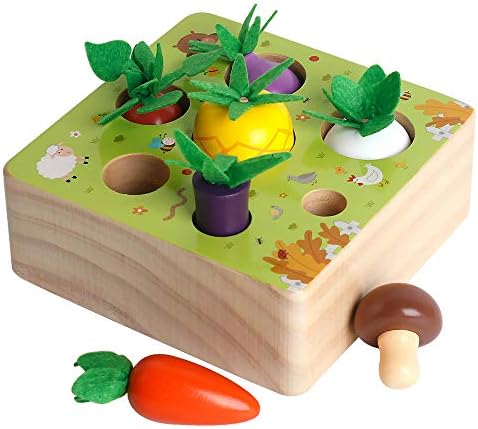 car air compressor portable