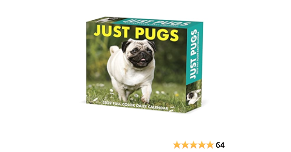 amazon pug dog
