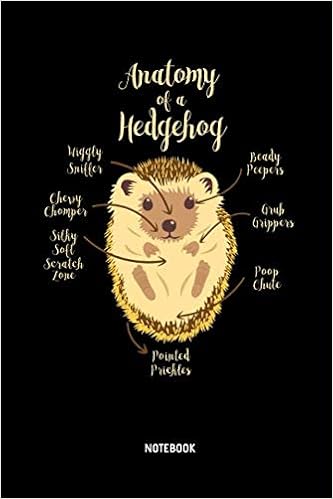 hedgehog accessories amazon