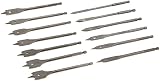CRAFTSMAN 920919 13 Piece Spade Bit Set with Metal Storage Rack