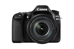Canon EOS 80D Digital SLR Kit with EF-S 18-135mm f/3.5-5.6 Image Stabilization USM Lens (Black)