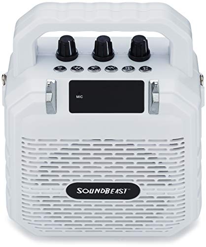 SoundBeast Firebird Karaoke Machine & Portable PA Speaker System For Kids & Adults - With Lights, Microphone, Bluetooth (White)