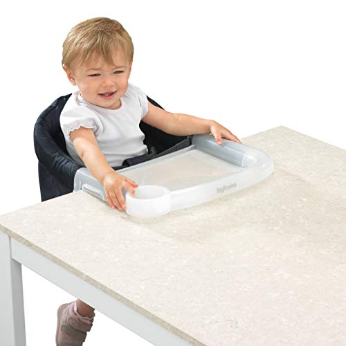 1 Inglesina+Fast+Dining+Tray+Clear