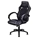 Giantex Gaming Chair Racing Style High Back Executive Office Chair Height Adjustable Ergonomic Desk Chair w/Padded Armrests, Mesh Bucket Seat and Lumbar Support (Black)