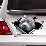 fabisup 3D Blue Car Decoration Sticker for Car