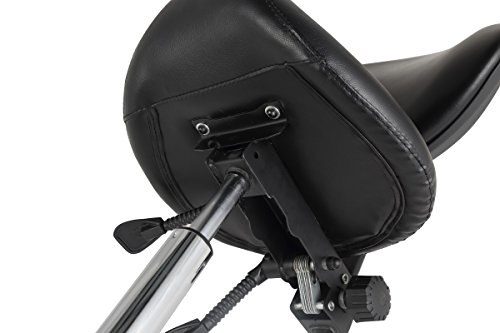 AiMS Rolling Saddle Stool Hydraulic Tall 22-29 inches Adjustable for Medical Lab Dental Salon Spa Massage Tool-free Assembly Pneumatic Drafting Office Chair with Ergonomic and Comfortable (With Back)
