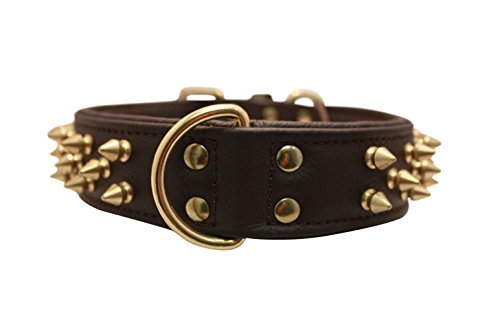 Spiked Studded Leather Dog Collar, Wide, Padded, Double-Ply, 24