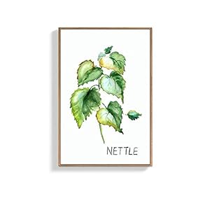 Framed Canvas Wall Art for Living Room, Bedroom Nettle Canvas Prints for Home Decoration Ready to Hang - 16x24 inches