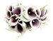 Winterworm Latex Real Touch Artificial Calla Lily Flower Bouquet Wedding Party Home Garden Restaurant Decoration Valentine Gifts - Bunch of 10 (Dark-Purple)