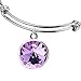 Silver February Jewelry Bangle Bracelet-Stainless Steel Adjustable Amethyst Charm Birthstone Bracelets Birthday Gifts for Women