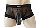 Semboon Men's Transparent Soft Mesh Cock Sheath Boxer Briefs Trunks Underwear Black