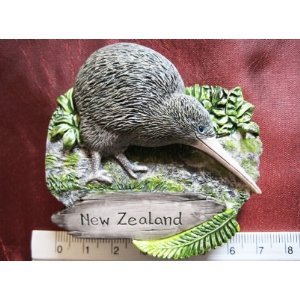 Amazon.com: New Zealand Kiwi Bird Kiwis High Quality Resin 3D fridge