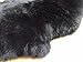 Kimiro Genuine Sheepskin Rug One Pelt Black Fur 2 X 3