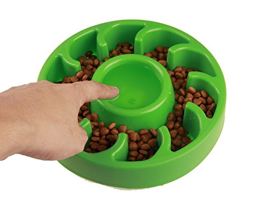 Pet Slow feeder bowl healthy growth eatting slowly feeding reduce speed Dog Bowl Prevent Choking obesity overweight (Green)