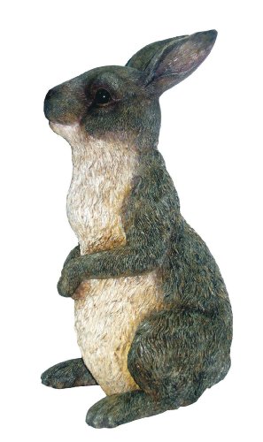 Michael Carr Peter Rabbit Gray