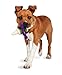 PetSafe Busy Buddy Jack - Keeps Dog Busy - Includes Treats Refill - Treat Holding Dog Toy - Helps Clean Teeth - Durable Rubber - Strong Chewers - Dishwasher Safe - Large - Purple