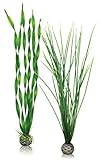 biOrb Easy Plant Pack, Large