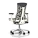 Herman Miller Embody Chair: Fully Adj Arms - White Frame/Titanium Base - Standard Carpet Casters