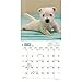 West Highland White Terrier Puppies 2017 Mini Calendar 7