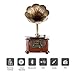 LuguLake Bluetooth Phonograph Record Player Turntable, Library Vintage Phonograph Gramophone with Copper Horn, Built-in Independent subwoofer 3.5mm Aux-in/ USB/FM for Home, Officethumb 3