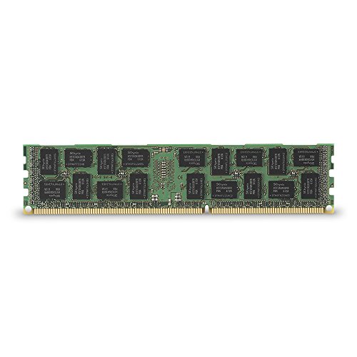 Kingston Technology 16 GB 1600MHz (PC3-12800) Reg ECC Memory Module for Dell Severs KTD-PE316/16G
