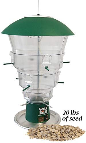 Amazon Com Bestnest Wild Bills Electronic Bird Feeder Waste