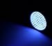 Lifepul(TM) Ultra Bright 100 LED UV Blacklight Pet Urine Detector Finder, Ultraviolet Handheld Flashlight for Detecting Dog Pee / Body Fluids / Bed Bugs, Inspecting Money, Passports, Freon Leaks