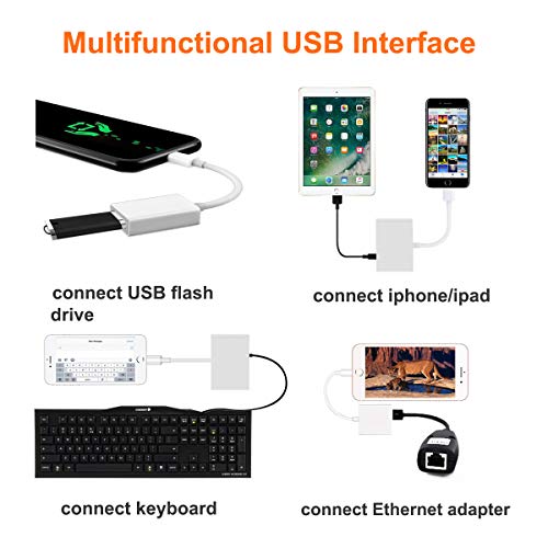 SD Card Reader for iPhone iPad, USB Camera Adapter for iPhone iPad, 3 in 1 SD &TF Card to iPhone iPad with USB 2.0 Female OTG Adapter, Trail Game Camera Memory Card Reader Viewer,No App Required-White - Thumbnail 4