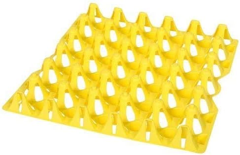 New Egg Trays Set of 5