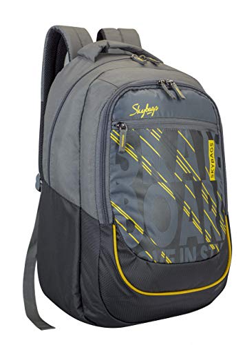 skybag arthur backpack