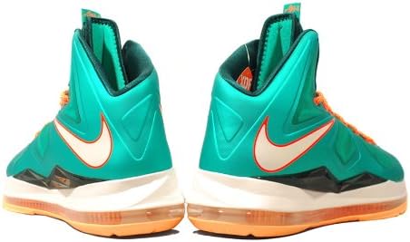 lebron dolphins shoes