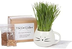 HOLIDAY GIFT SET - Organic cat grass growing kit with cat grass planter. Natural hairball control and hairball remedy for cats. Natural digestive aid. Includes planter, Organic seed & organic soil.