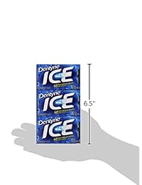 Dentyne Ice Sugar Free Gum (Peppermint 16 piezas, 9 unidades)