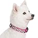 Blueberry Pet 7 Patterns Soft & Comfy Endless Floral Print Designer Padded Adjustable Dog Collar, Medium, Neck 14.5