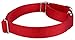 Country Brook Petz Martingale Dog Collar - Heavy-Duty Training Collar with No Buckle - Service Dog Collar for All Pups - Vibrant, Colorful Collection (Red, 1 Inch, Large)