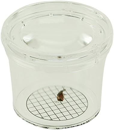 Magnified Bug, Insect &amp; Arachnid Viewing Jar - Shatter-Proof Plastic