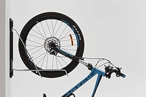 steadyrack fat bike rack