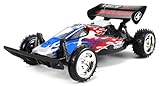 Flaming Skull Raider Electric RC Buggy Big Size 1:10 Scale Off Road Ready To Run RTR High Performance, Front Wheel Independent and Hinged Rear Suspension (Colors May Vary)