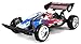 Flaming Skull Raider Electric RC Buggy Big Size 1:10 Scale Off Road Ready To Run RTR High Performance, Front Wheel Independent and Hinged Rear Suspension (Colors May Vary)