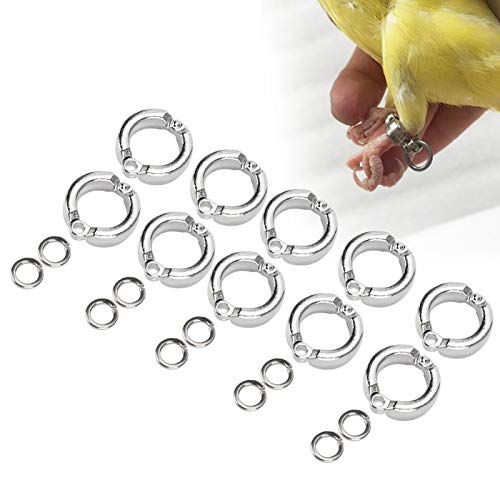 Cikonielf 10Pcs Bird Foot Rings Metal Parrot Leg Ring Outdoor Fly Training Activity Opening Clip Accessories for Small Medium Large Birds Training(#6) — image 1