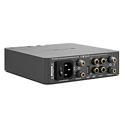 SMSL A100 Amplifier Home Audio, Stereo Amplifier