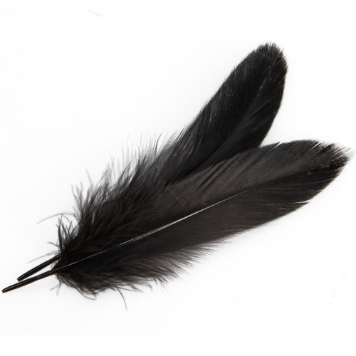 UPC 701354239992, Sealike 50 pcs 10-15cm Real Natural Home Decor Goose Feather Great Party Wedding Decorations with a Stylus(Black)