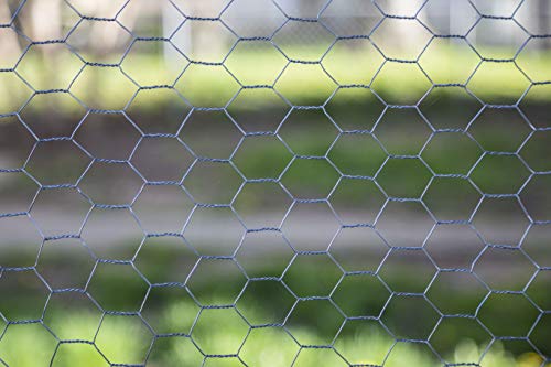 Aquagart Maschendrahtzaun Sechseckgeflecht verzinkt I Hühnerzaun Kaninchendraht Hasengitter feinmaschig 13 x 13 mm I 6-Eck Drahtgeflecht 0,7 mm Hasendraht (50cm hoch, 160m) – Bild 8