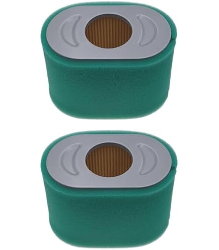4238 Air Filter (5 of 796970) Replacement for Briggs and