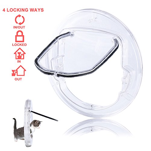 Cat Doors & Flaps What Cats Need