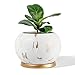 POTEY Planter Ceramic Plant Flower Pot - 5