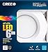Cree TW Series 6 in. 65W Equivalent Soft White (2700K) LED Retrofit Recessed Downlight (2-Pack)