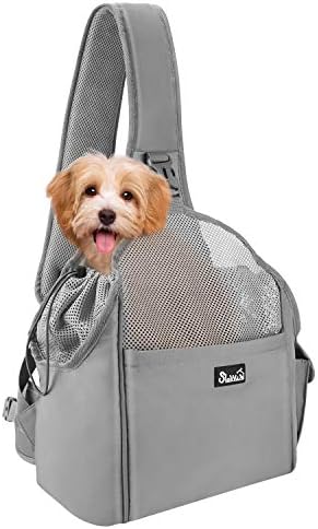 affordable dog boarding