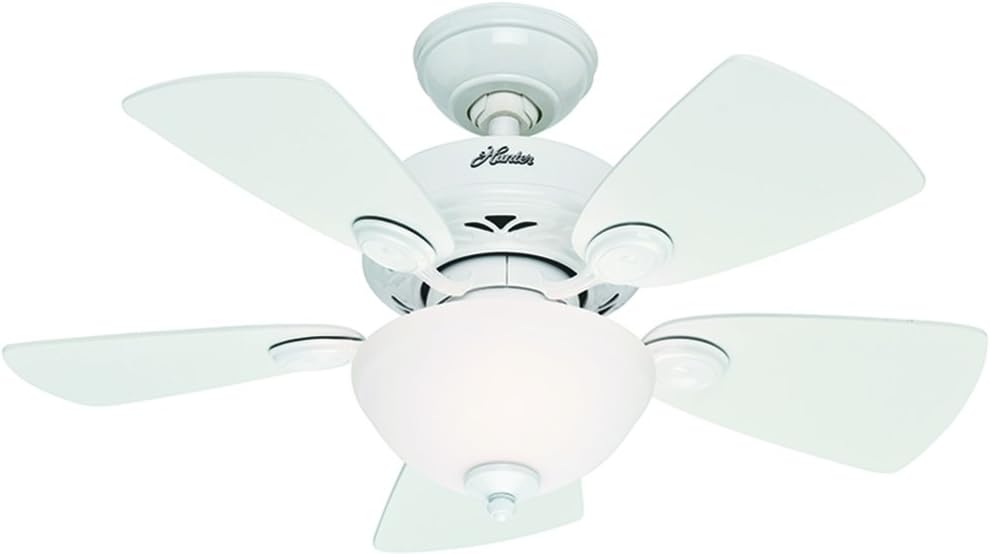 Hunter 52089 Transitional 34``Ceiling Fan from Watson Collection in